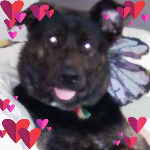 Meet your Posher, David - Picture 1 of 1